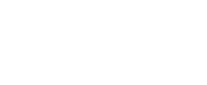Peace Bridge Logo in all white